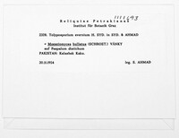 Image of Tolyposporium evernium
